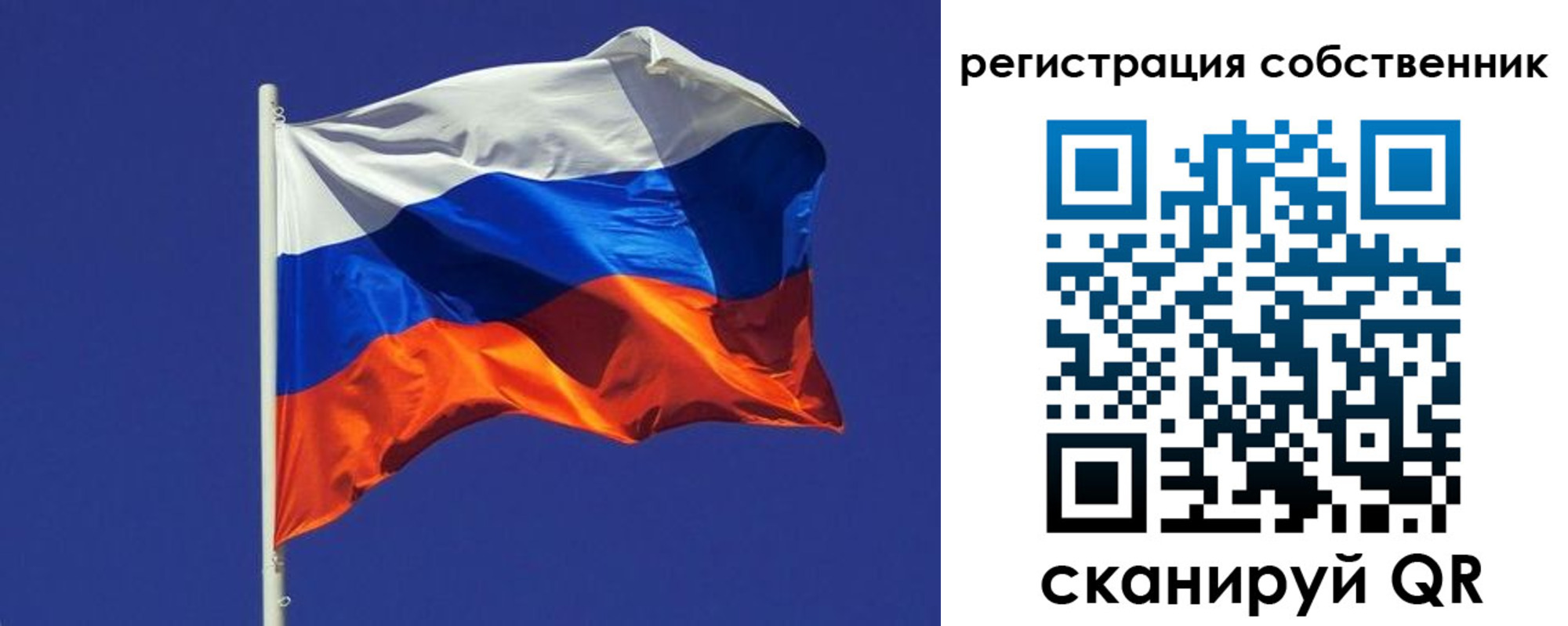 временная регистрация 2025 в Светлогорске